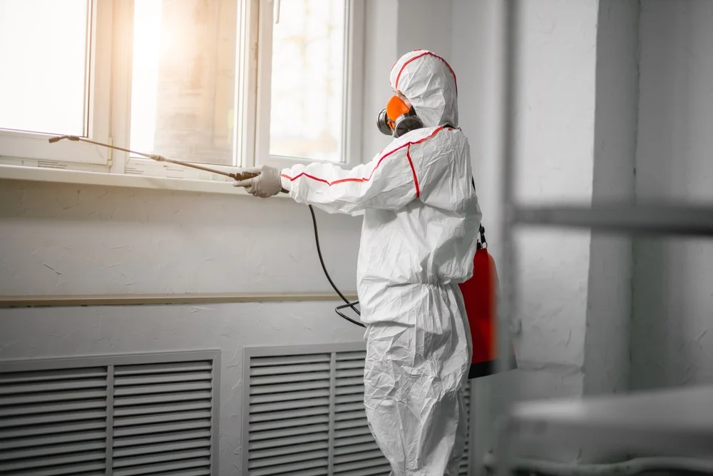 Professional mold remediation services in Monroe, NH